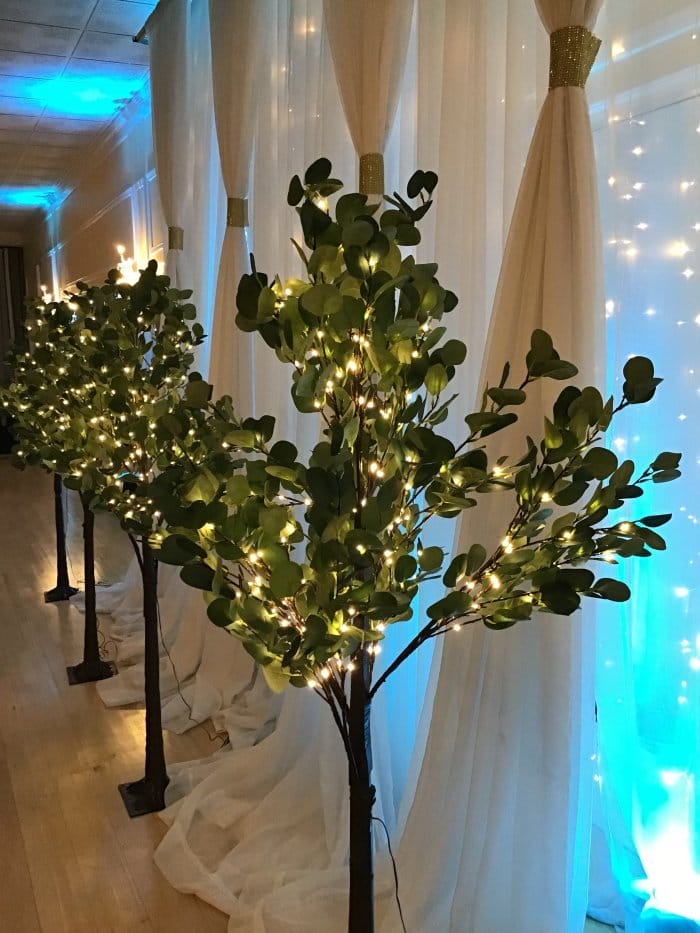 Sweetheart Table Decor - Eucalyptus trees with Lights - Falls Manor ...
